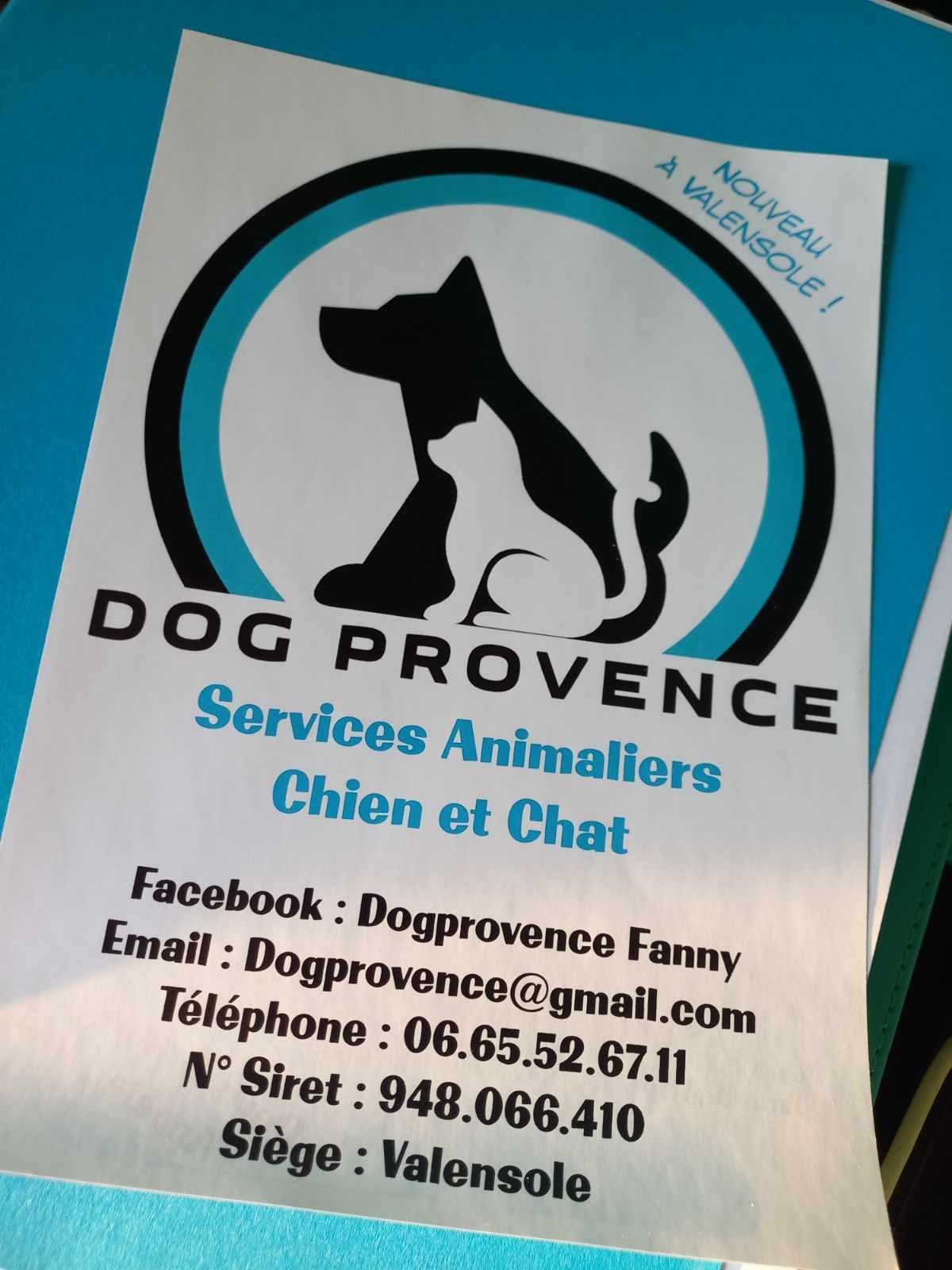 Dogs provence fannuy