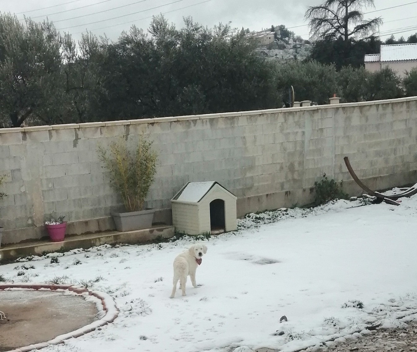 Bébé découvre la neige.