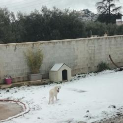 Bébé découvre la neige.