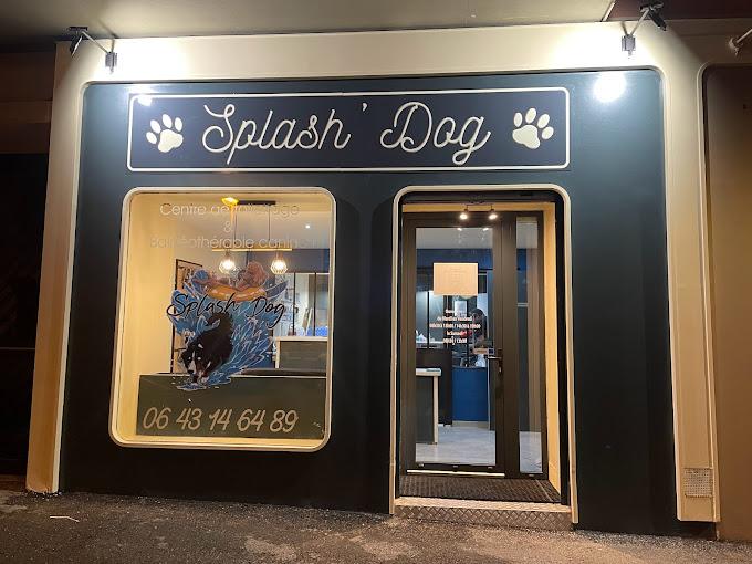 Splash'Dog Toilettage