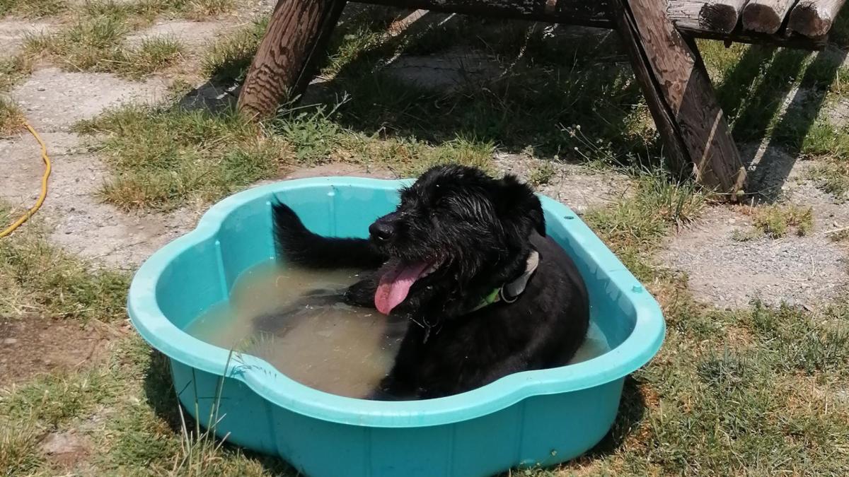 Piscine2 1